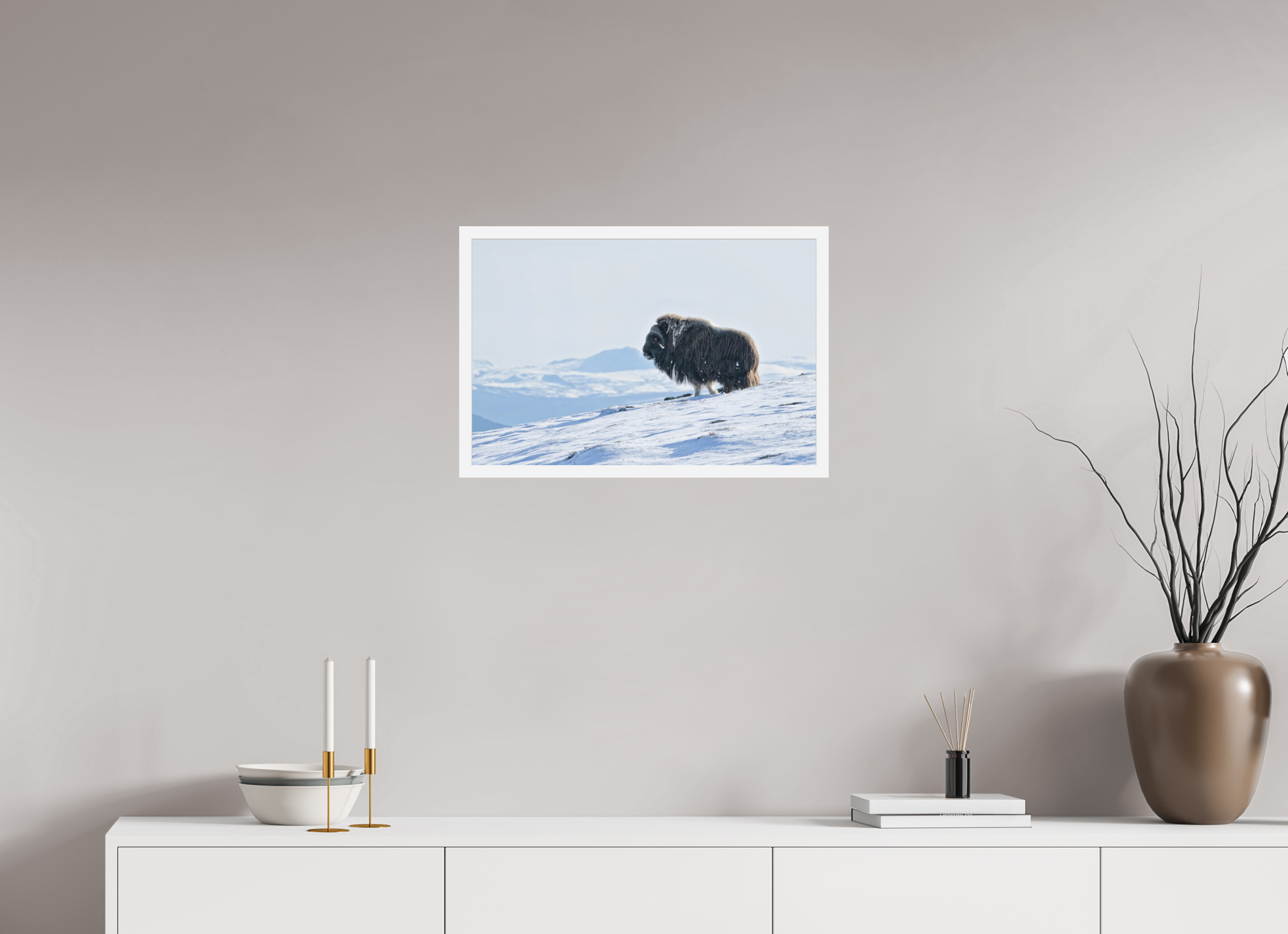 60 x 40 cm, Gallery Frame Hamburg 20mm Matte White Matte Acrylic The Musk Ox Kingdom - In Solid 20 mm Wood Frame Hamburg Matte Acrylic