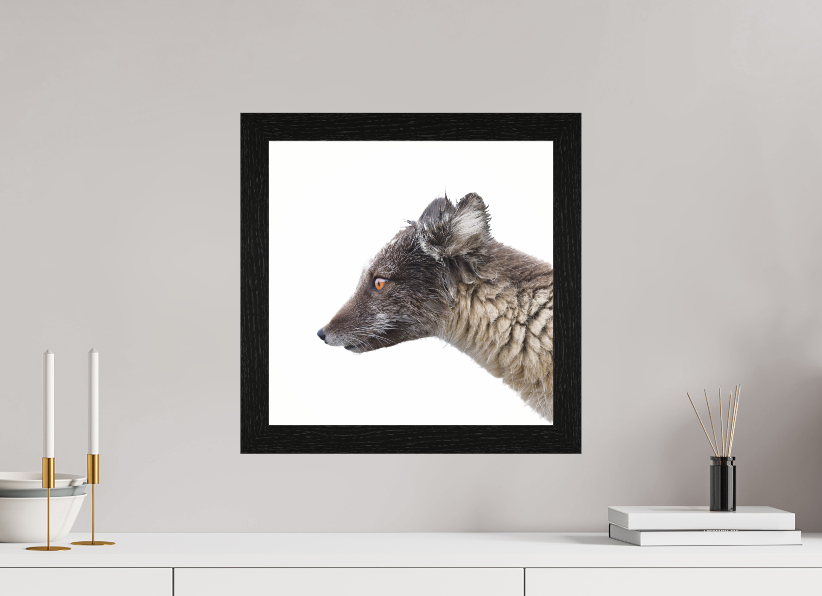 40 x 40 cm, Gallery Frame Hamburg 40mm Black Oak Glossy Acrylic Glass Arctic Fox Angel - In Solid 40 mm Wood Frame Hamburg Glossy