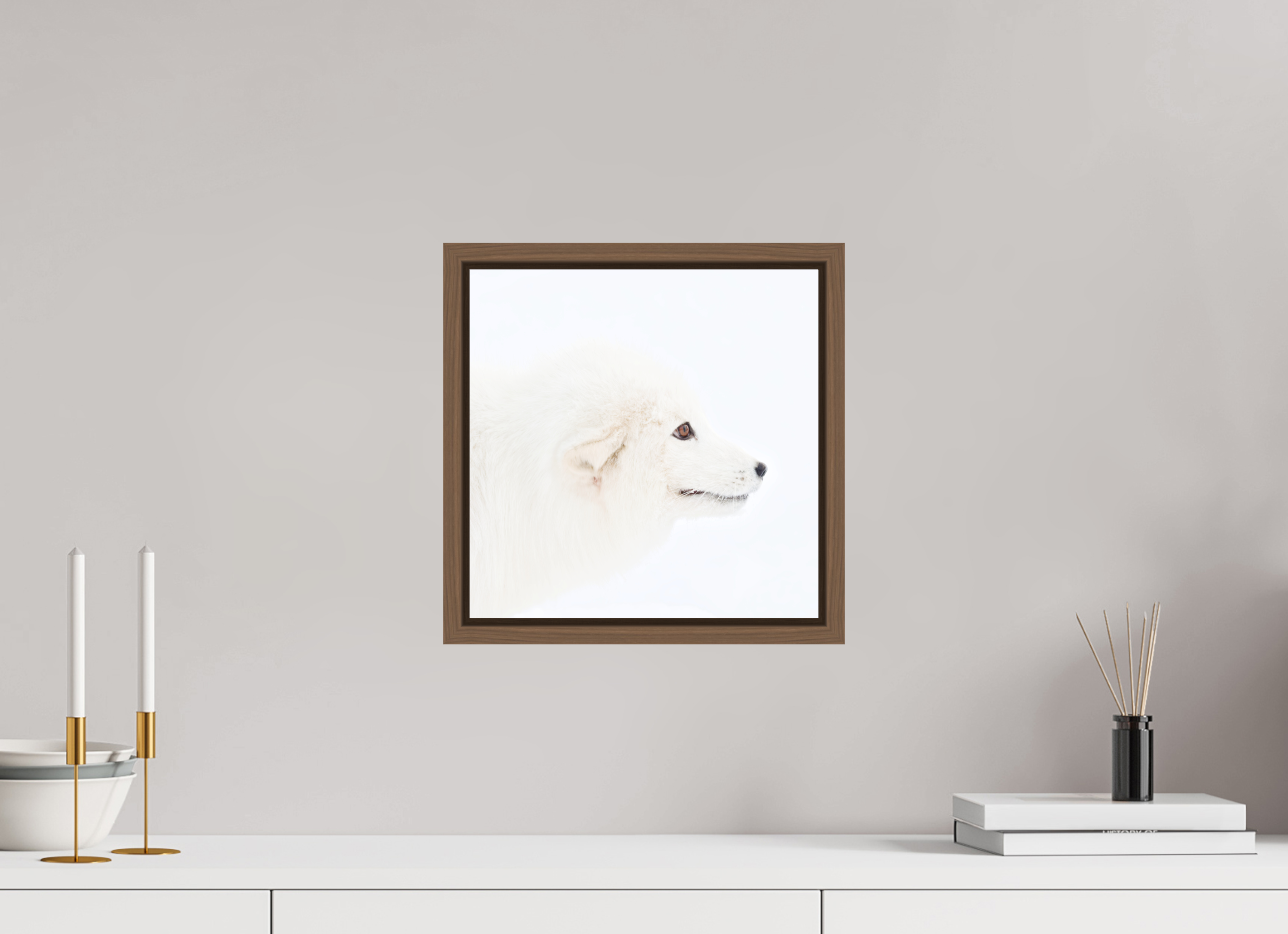 30 x 30 cm, Floater Frame Walnut Matte Acrylic Glass Arctic Fox Head - Floater Frame