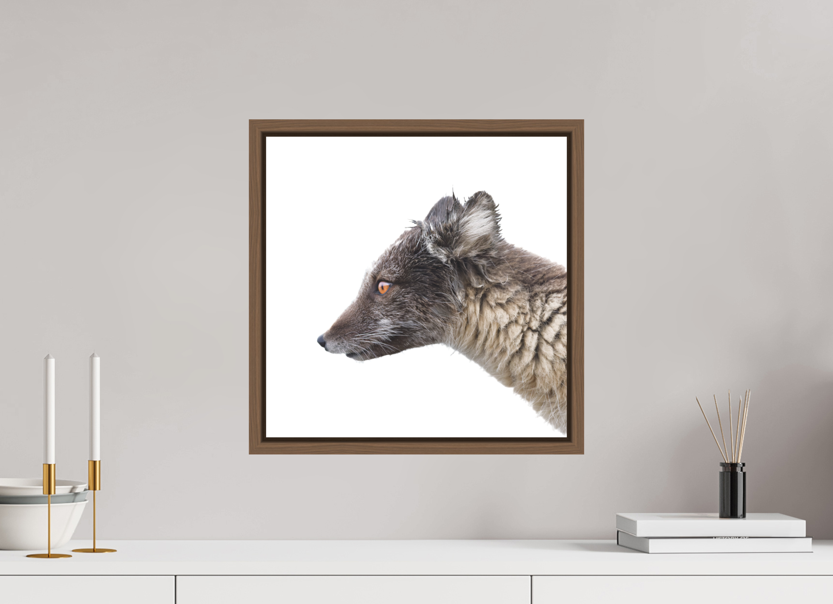 40 x 40 cm, Floater Frame Walnut Matte Acrylic Glass Arctic Fox Brown - Floater Frame Matte