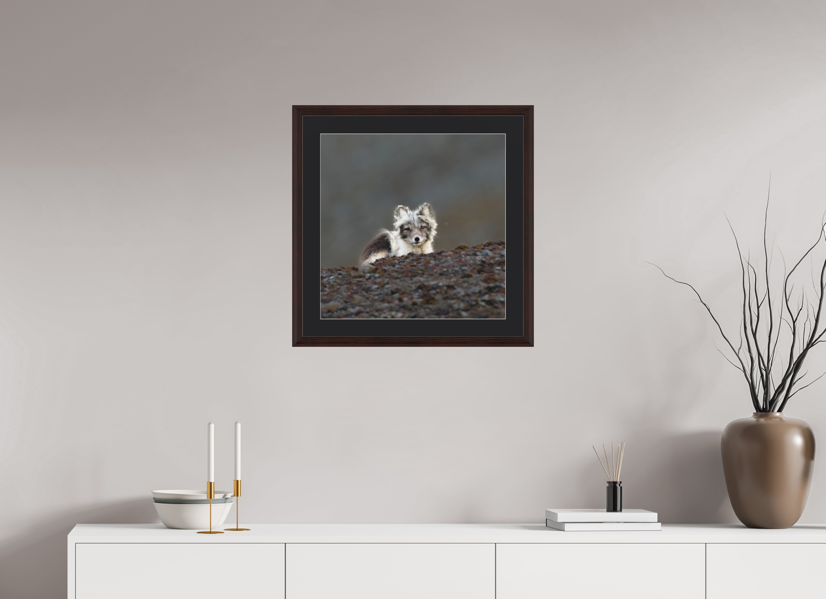 50 x 50 cm, Solid Wood Frame Vienna Passe-partout Alder Brown Arctiv Fox Scout -Solid Frame With Passe-Partout