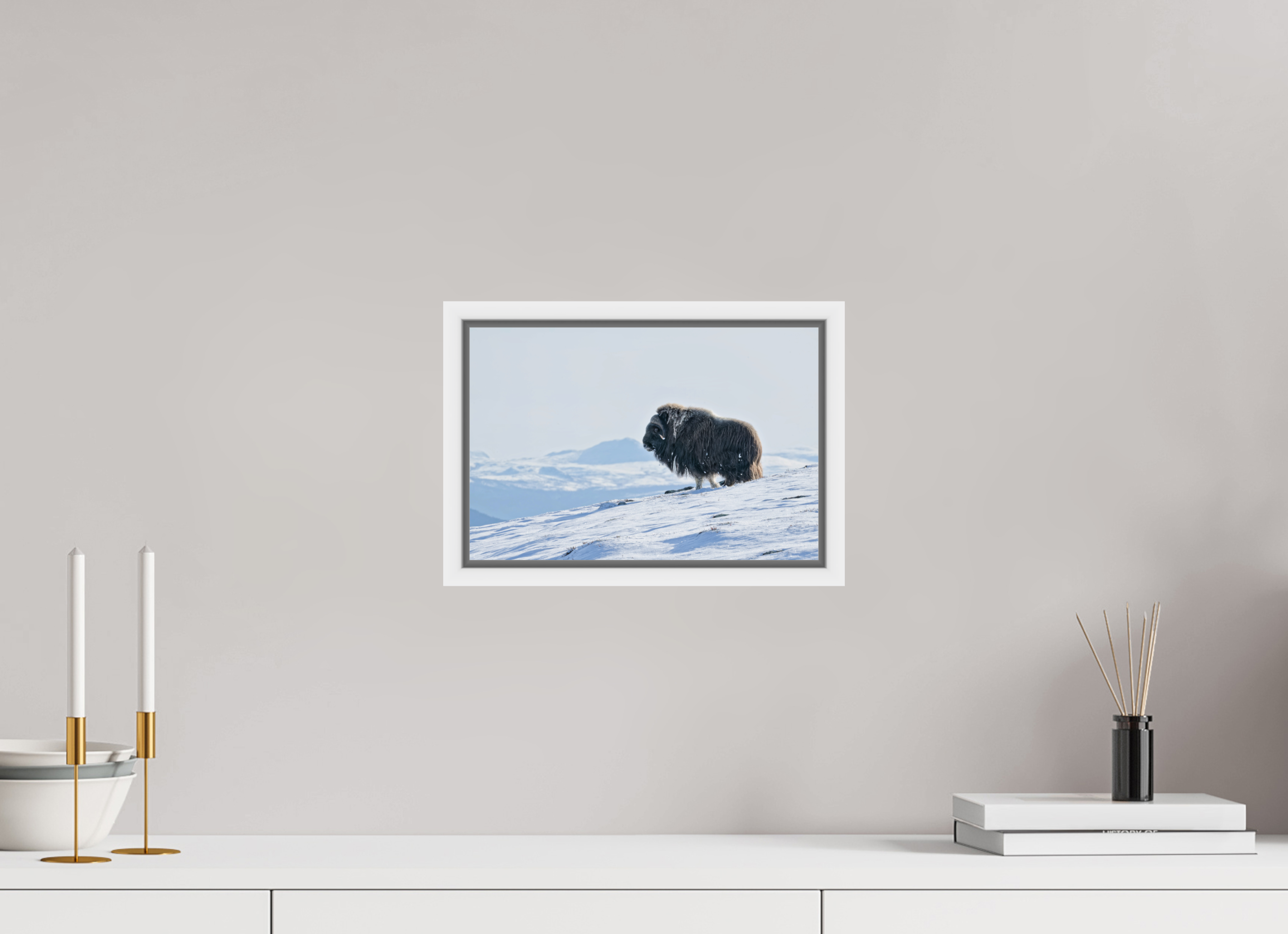 30 x 20 cm, Floater Frame Matte White Glossy Acrylic Glass The Musk Ox Kingdom - Floater Frame Glossy