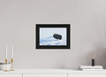 30 x 20 cm, Gallery Frame Hamburg 40mm Black Oak Matte Acrylic The Musk Ox Kingdom - In Solid 40 mm Wood Frame Hamburg Glossy Acrylic