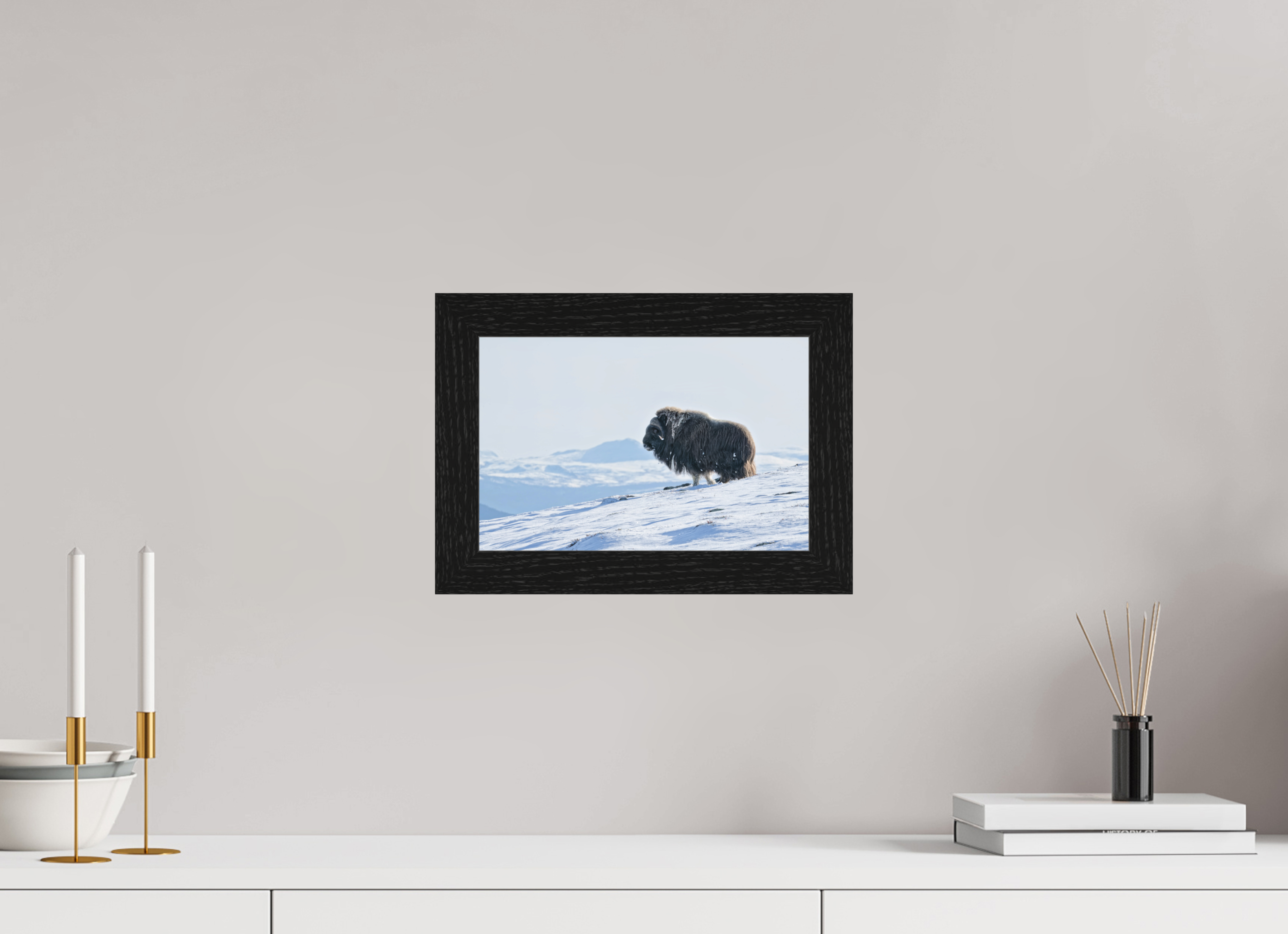 30 x 20 cm, Gallery Frame Hamburg 40mm Black Oak Matte Acrylic The Musk Ox Kingdom - In Solid 40 mm Wood Frame Hamburg Glossy Acrylic