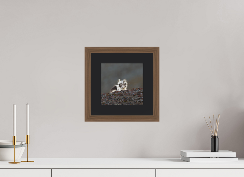 20 x 20 cm, Solid Wood Frame Vienna Passe-partout Walnut Arctiv Fox Scout -Solid Frame With Passe-Partout