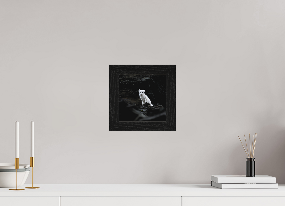 20 x 20 cm, Gallery Frame Hamburg 40mm Black Oak Matte Acrylic Arctic Fox Angel- In Solid 40 mm Wood Frame Hamburg Matte