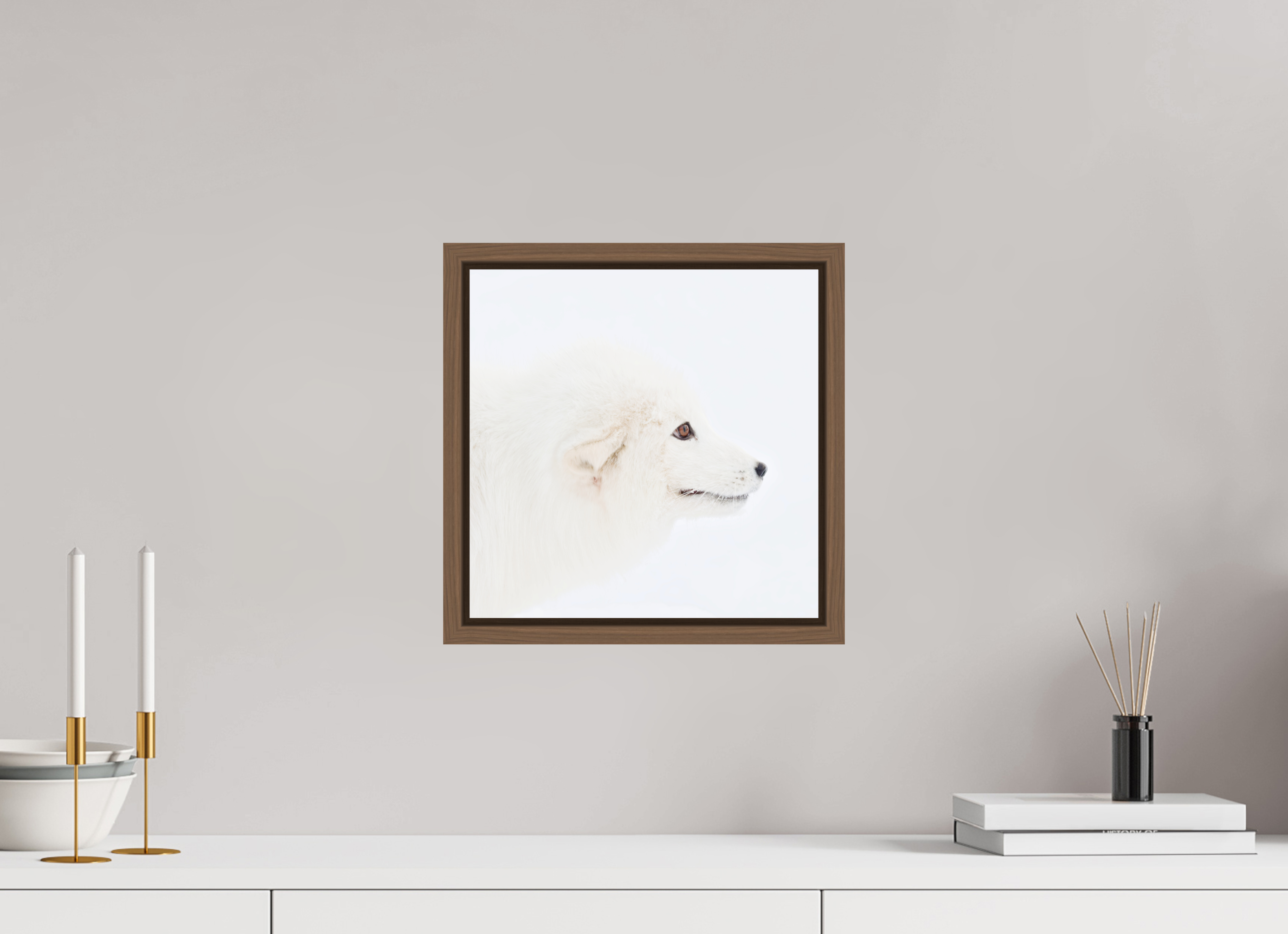 30 x 30 cm, Floater Frame Walnut Glossy Acrylic Glass Arctic Fox Head - Floater Frame