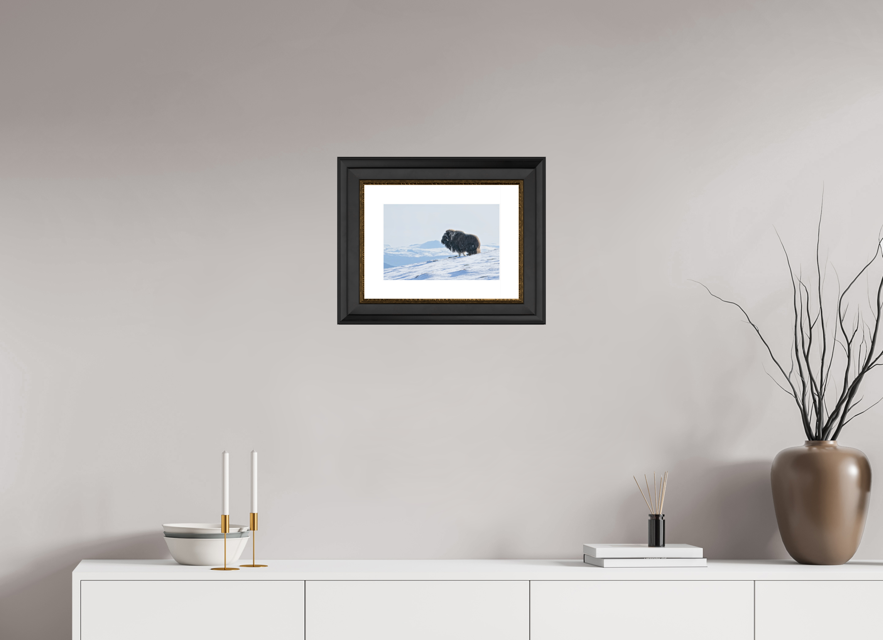 30 x 20 cm, Solid Wood Black-gold Frame London White Passe-partout The Musk Ox Kingdom -  Solid Frame White Passe-Partout