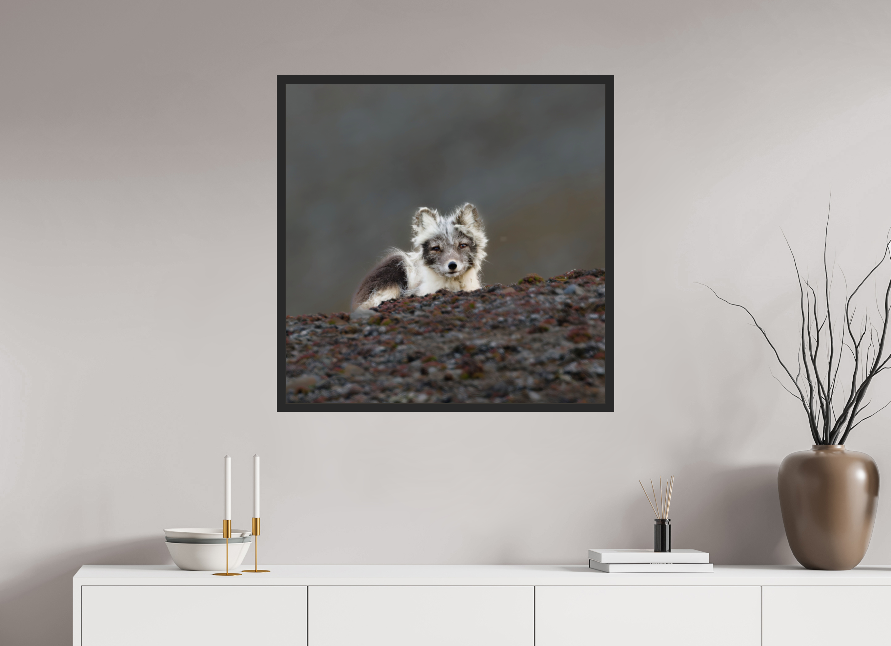 80 x 80 cm, Gallery Frame Hamburg 20mm Black Matte Glossy Acrylic Arctic Fox Scout- In Solid 20 mm Wood Frame Hamburg
