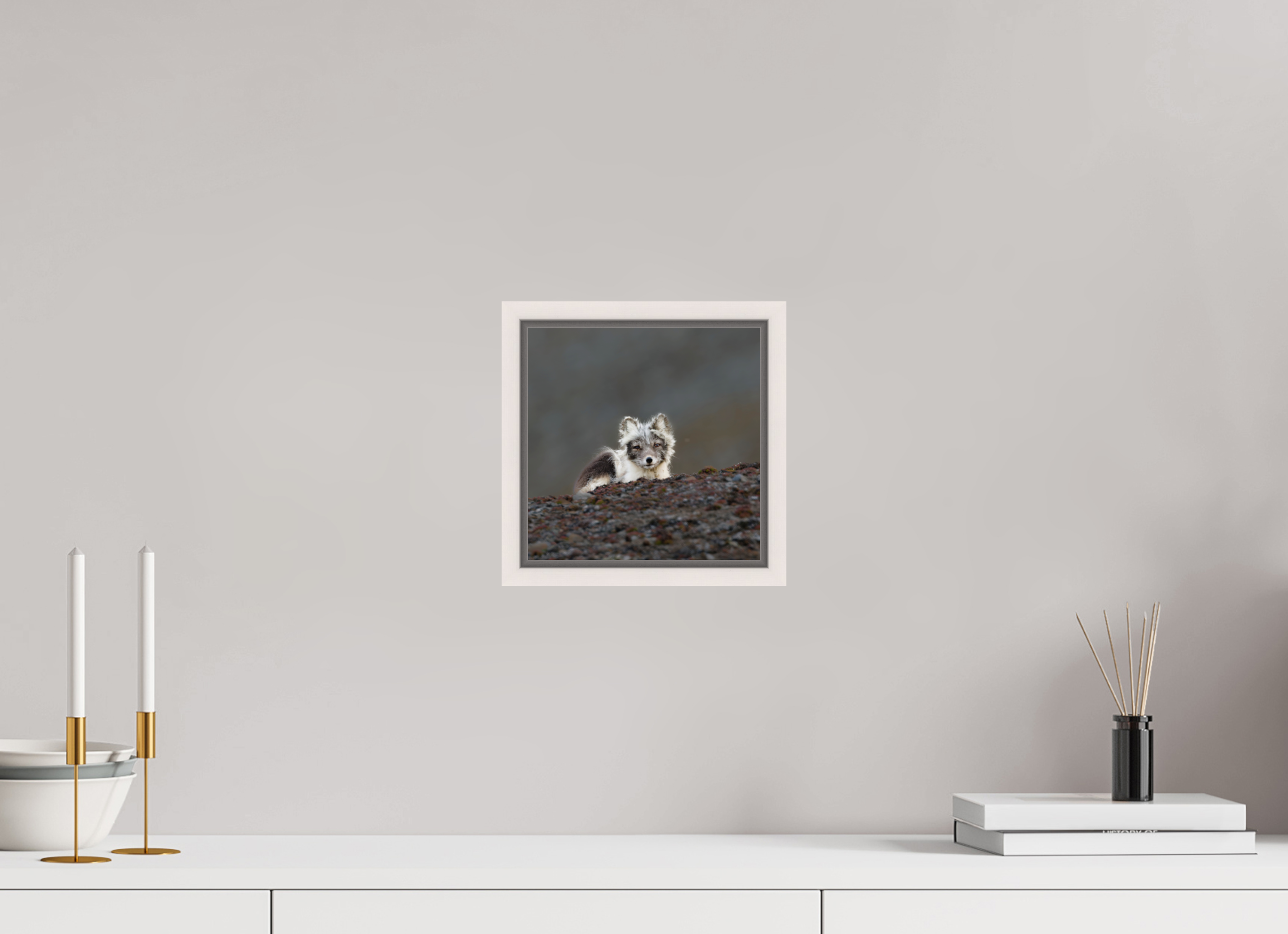 20 x 20 cm, Floater Frame Maple White Glossy Acrylic Glass Arctic Fox Scout - Floater Frame Glossy