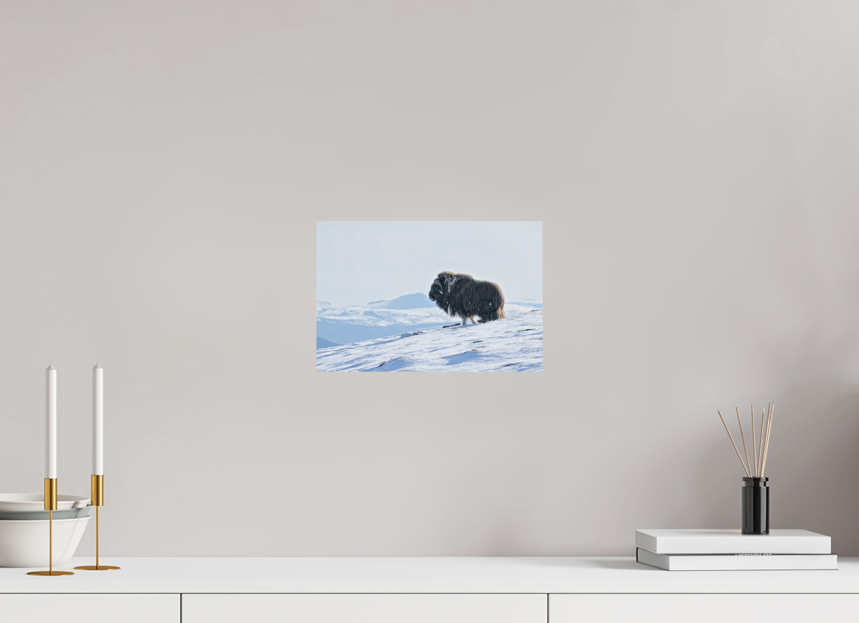 30 x 20 cm, Matte Photo Print Kingdom of Musk