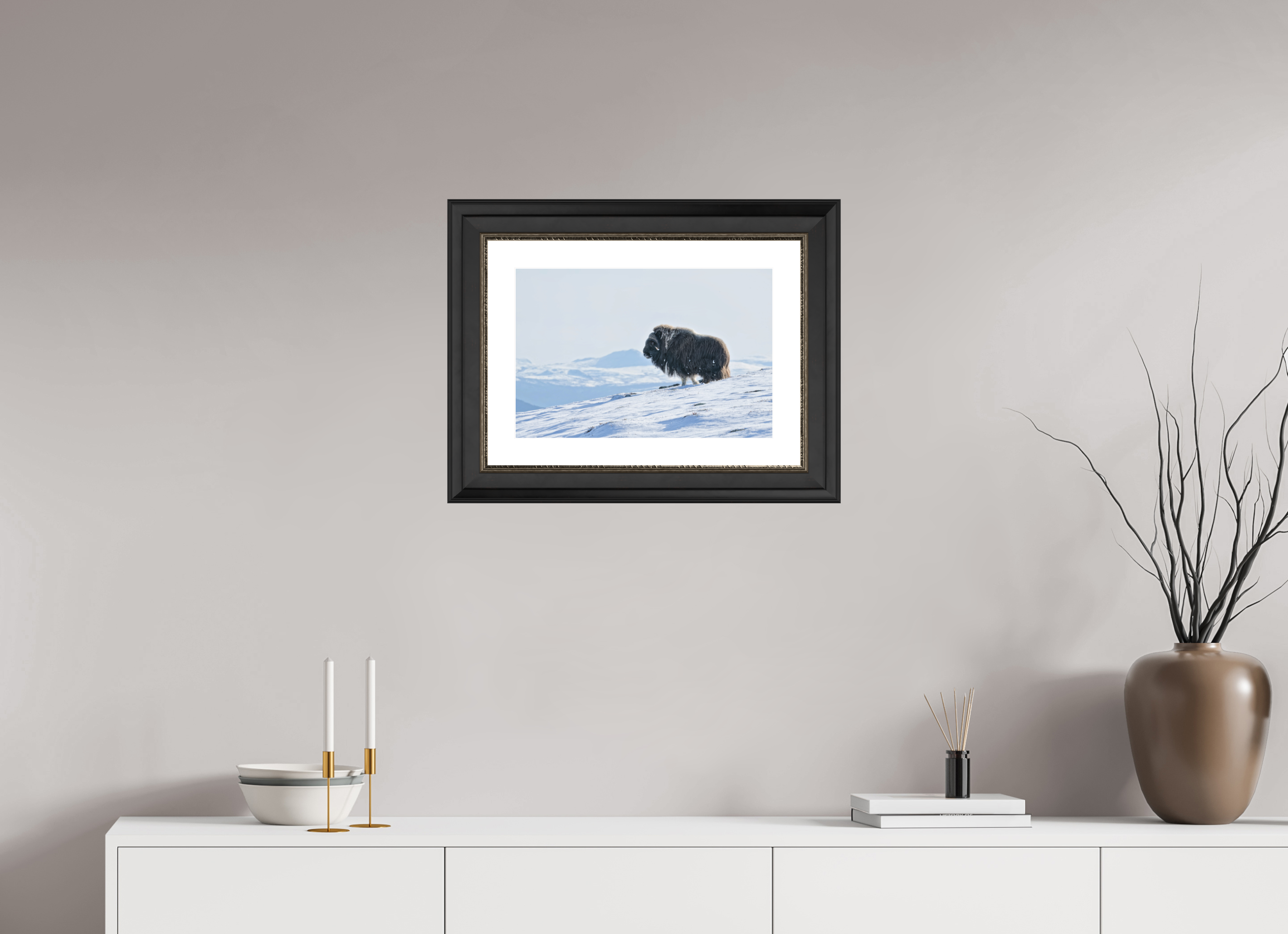 45 x 30 cm, Solid Wood Black-silver Frame London White Passe-partout The Musk Ox Kingdom -  Solid Frame White Passe-Partout