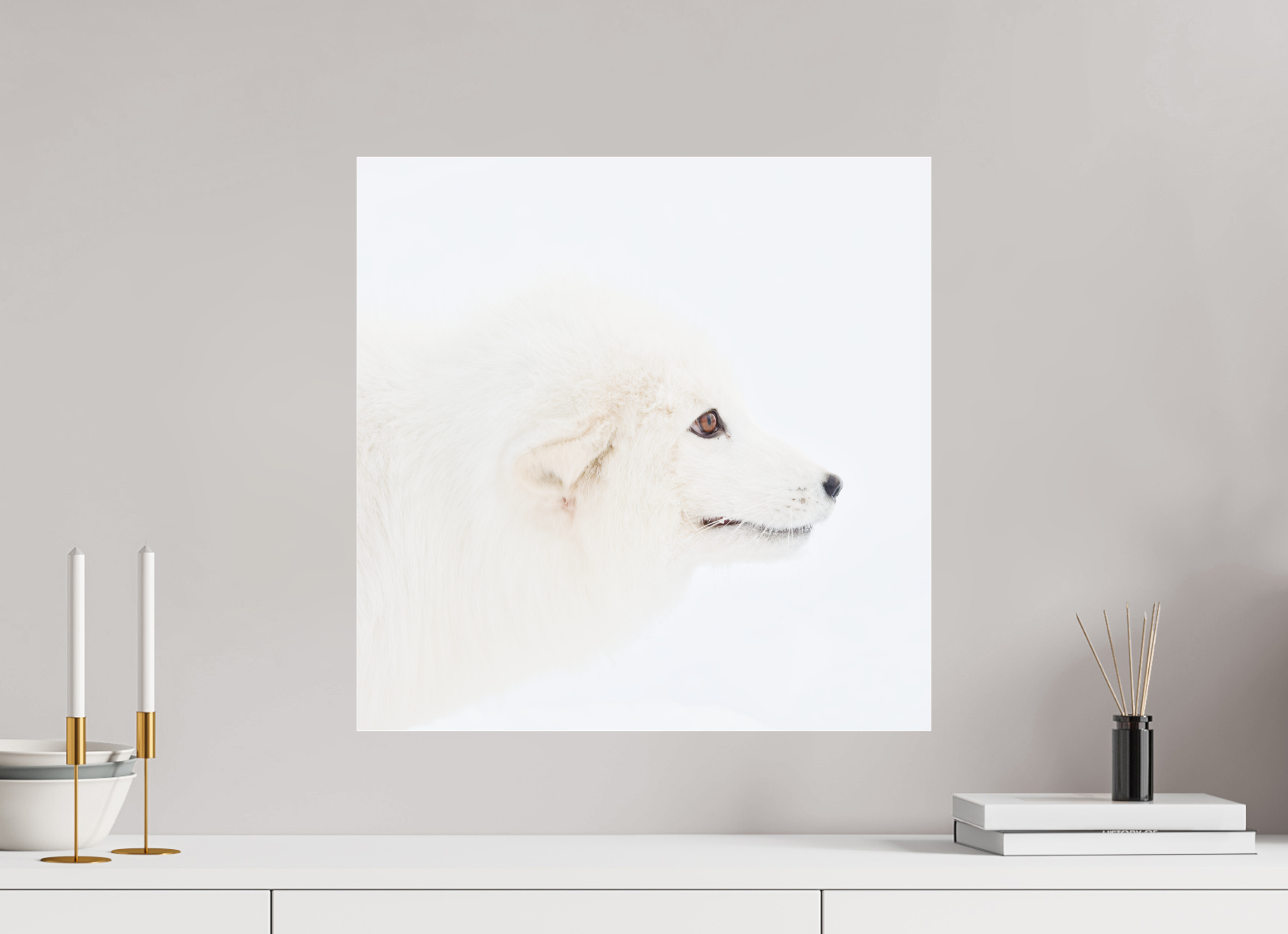 50 x 50 cm, Photo Print Under Acrylic Glass Arctic Fox Head - Photo Print Under Acrylic Glass