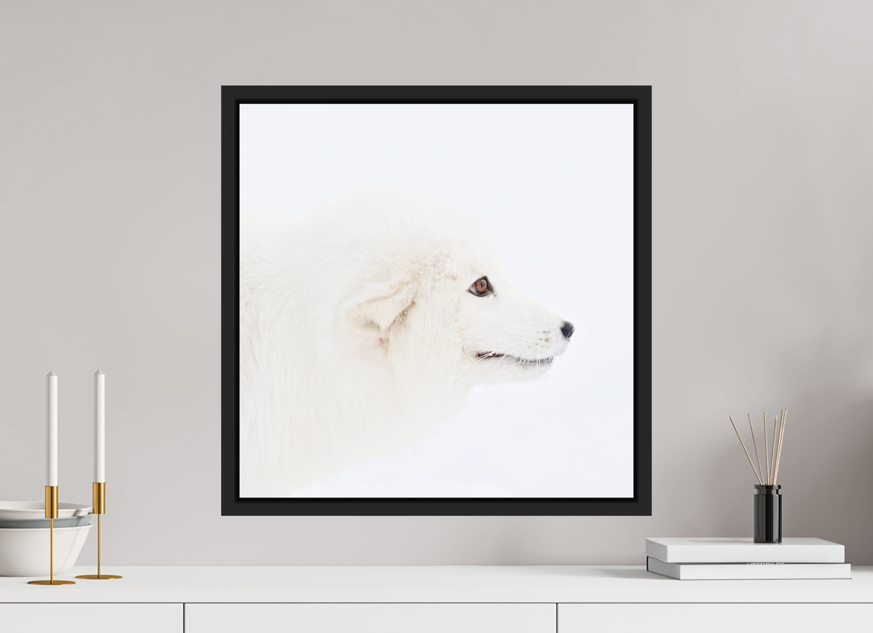 50 x 50 cm, Floater Frame Matte Black Glossy Acrylic Glass Arctic Fox Head - Floater Frame