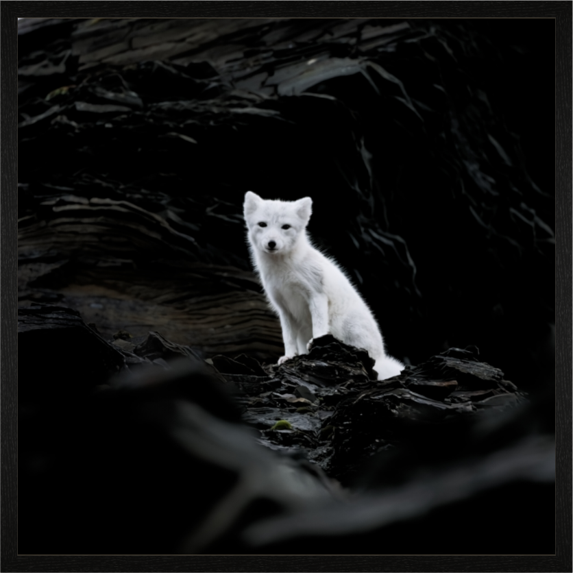 Main image Arctic Fox Angel - In Solid 40 mm Wood Frame Hamburg Glossy