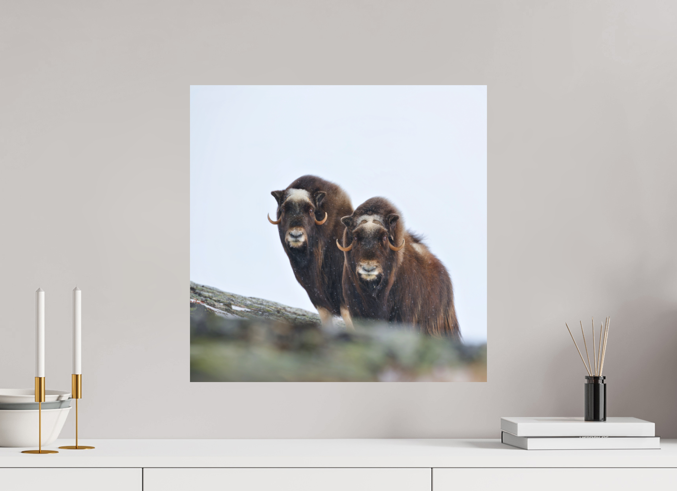 50 x 50 cm, Matte Photo Print The Musk Sisters - Photo Print