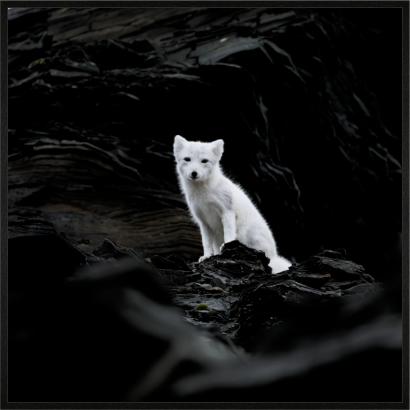 Main image Arctic Fox Angel - In Solid 20 mm Wood Frame Hamburg Glossy