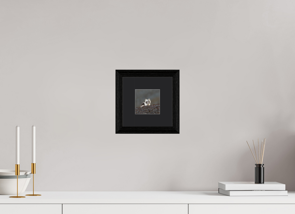10 x 10 cm, Solid Wood Frame Vienna Passe-partout Black Oak Arctiv Fox Scout -Solid Frame With Passe-Partout