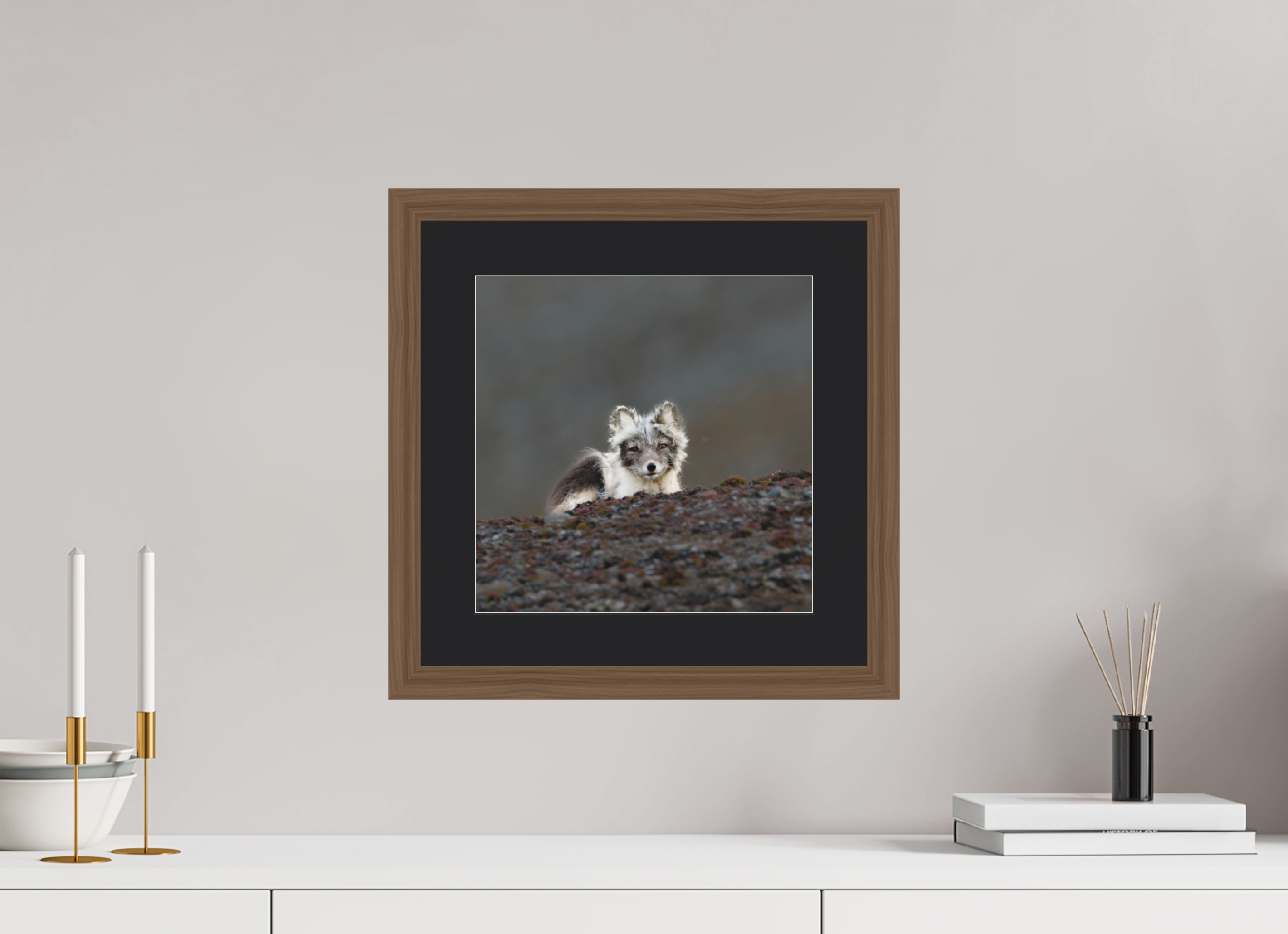 30 x 30 cm, Solid Wood Frame Vienna Passe-partout Walnut Arctiv Fox Scout -Solid Frame With Passe-Partout