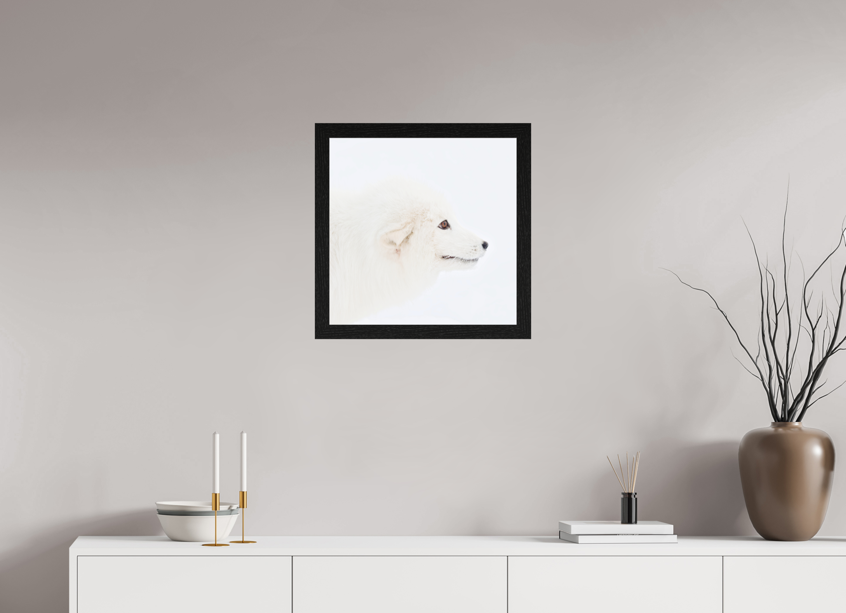 50 x 50 cm, Gallery Frame Hamburg 40mm Black Oak Glossy Acrylic Glass Arctic Fox Head - In Solid Wood Frame Hamburg 40 mm
