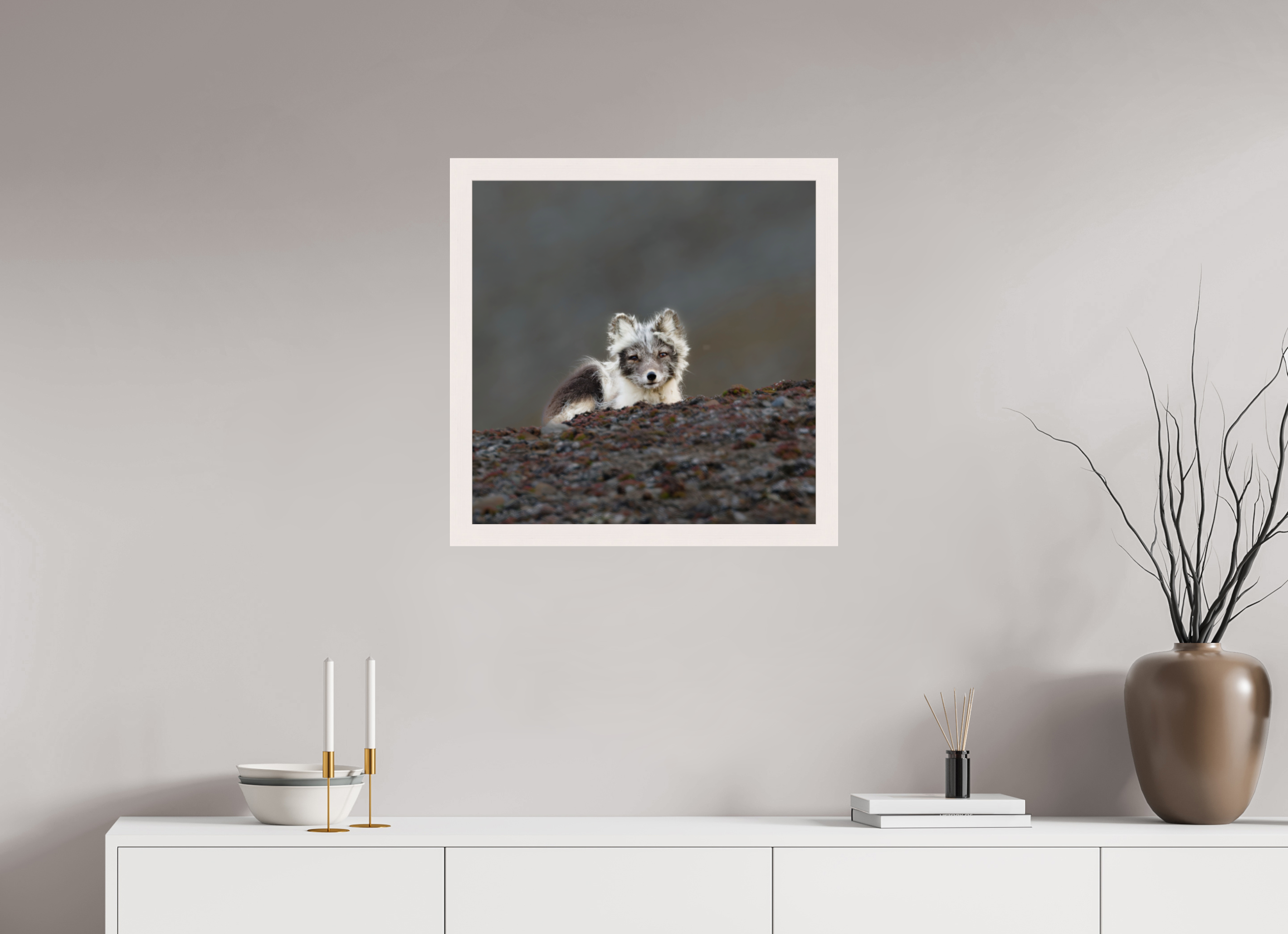 60 x 60 cm, Gallery Frame Hamburg 40mm White Glossy Acrylic Arctic Fox Scout- In Solid 40 mm Wood Frame Hamburg Glossy