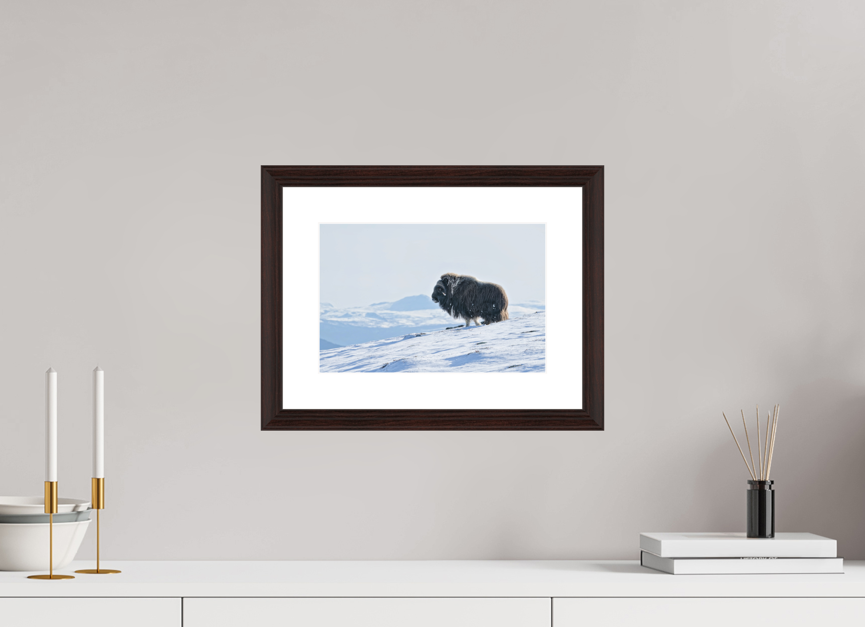 30 x 20 cm, Solid Wood Alder Brown Frame Vienna White Passe-partout The Musk Ox Kingdom -  Solid Frame White Passe-Partout